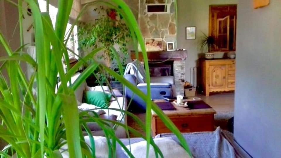 Maison Du Bonheur Borgo  Esterno foto